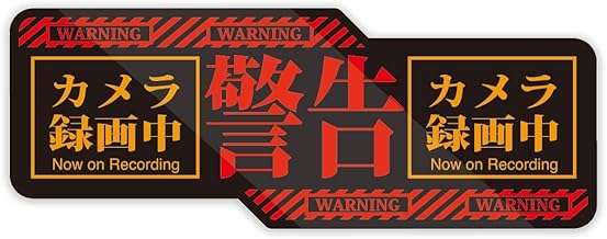 Biijo Eva Style Dash Camera, Magnetic Sticker, Parking Surveillance, Recording, Waterproof, Heat Resistant, Drive Recorder, Countermeasure for Driving (Camera Recording)