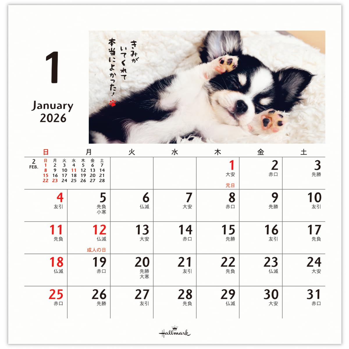 Amazon | ホールマーク 2026年 カレンダー 卓上 ほめわんこ 845544