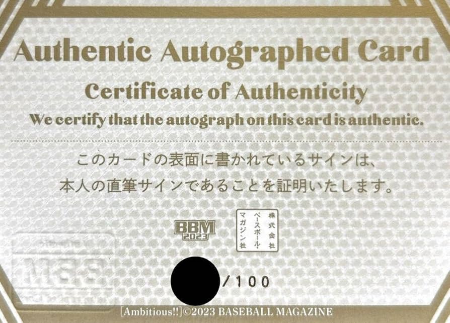 BBGirls Brave Girls 直筆サイン ブランケット 瑞希】BBM 女子プロレスカード 2025 [直筆サインカード