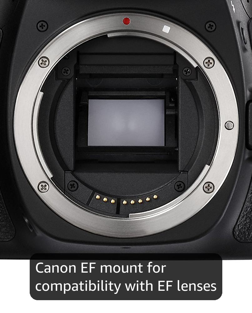 Canon EOS 80D Digital SLR Camera Body (Black) (Renewed)