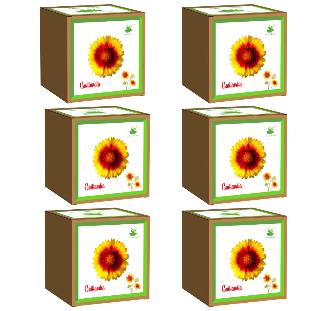 Sow and Grow Seed Starter Grow Kit of Gaillardia : Pack of 6 Kits for Gifting || DIY Easy Grow it Yourself Gardening Kit for Home and Garden || A Complete Beginner Gardeners Gardening Set-image-40