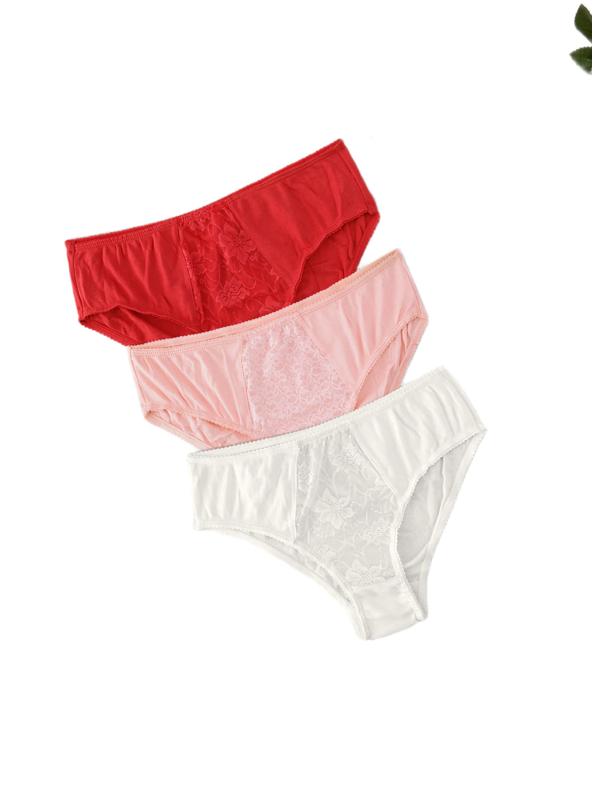 eliteensemble Women?s Bikini Panty with Sheer Lace Panel | Soft Daily Innerwear | Mid-Rise Comfort Fit Briefs | Lightweight & Breathable Fabric | Smooth Stylish Lingerie (Pack-3)-picture-45