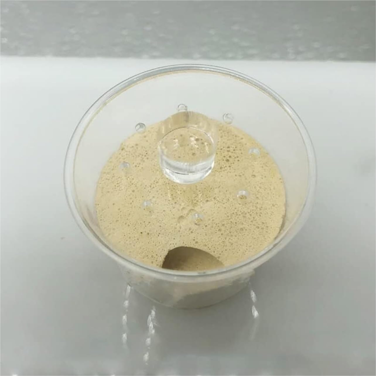 Fattoria di Formiche Formicaio Coppa Nido Regina Coltivazione Nido Formicaio in Gesso Adatto per 10 O Meno Scatole di Alimentazione per Formiche Nido di Formiche