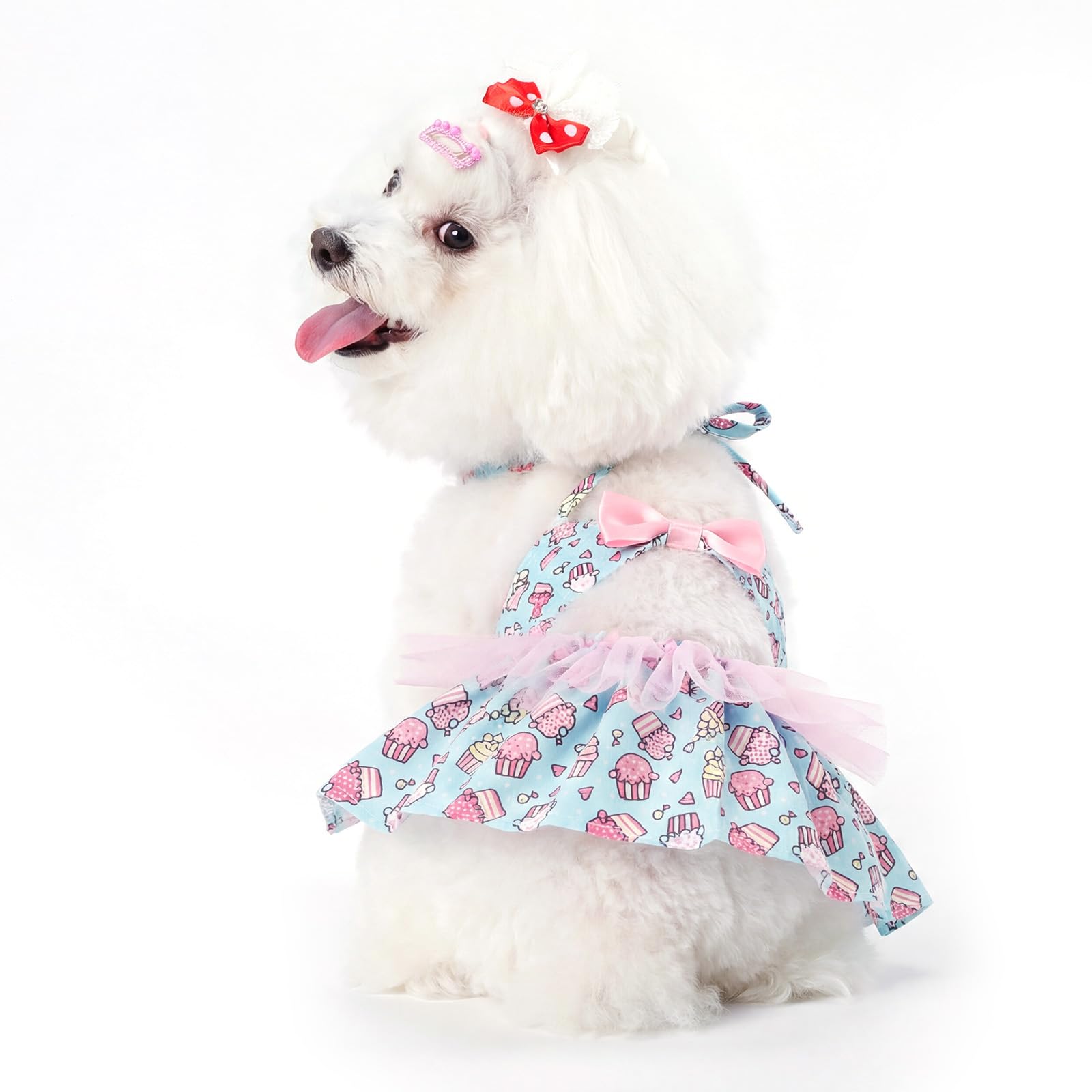 CuteBone One Piece Dog Bikini Swimsuit Dress - Puppy Bathing Suit Costume for Small Dogs - Comfortable &amp; Stylish Pet Clothes for Summer Pool, Beach &amp; Play LTDB14XS