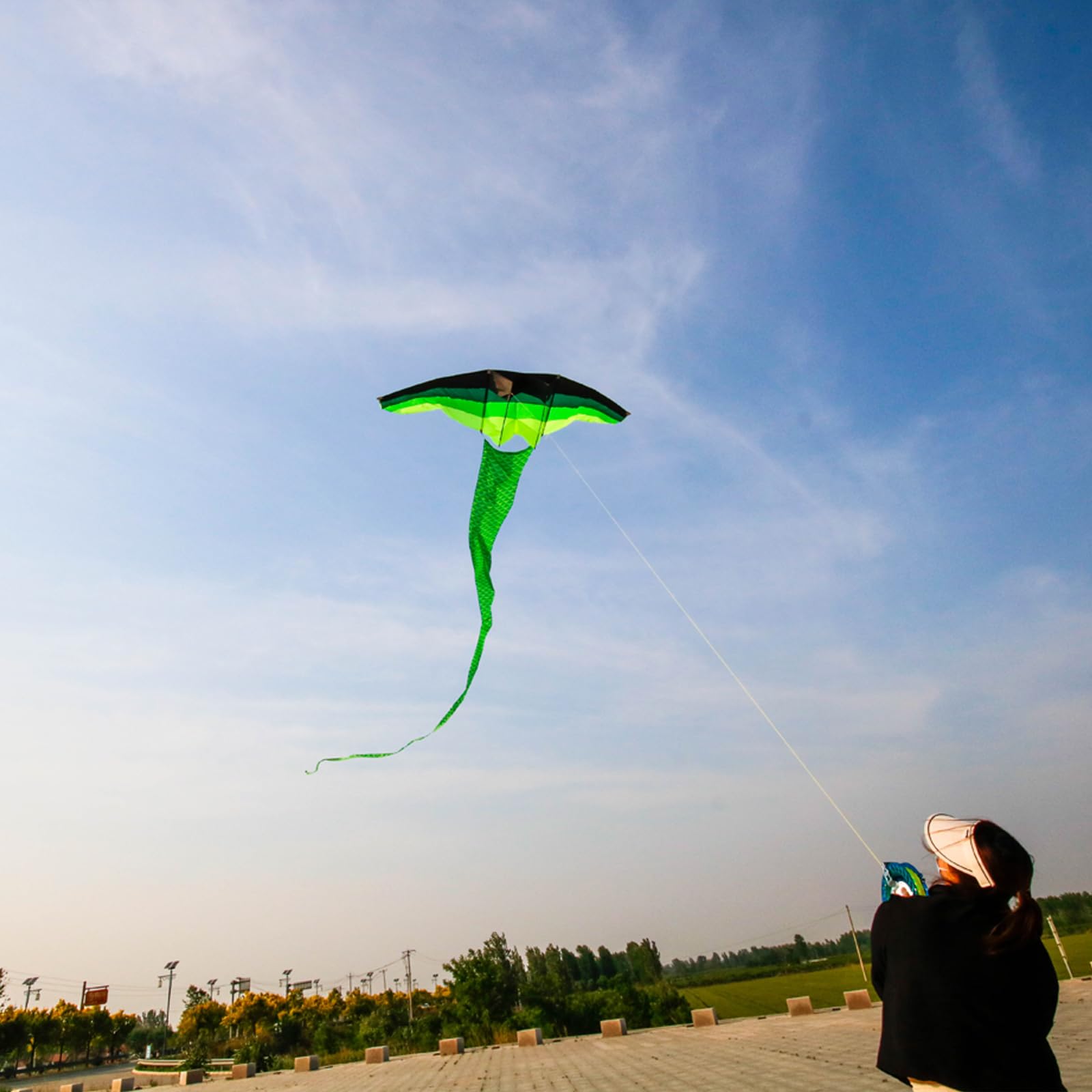 Cerf-volant professionnel pour adulte avec longue queue – Énorme, beau, style planeur à un excellent rapport qualité/prix, sans ficelle de cerf-volant