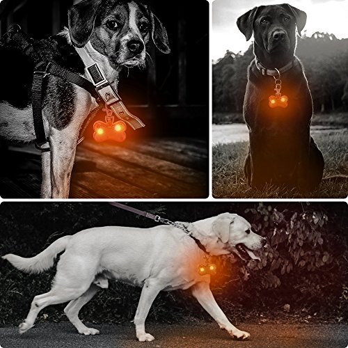 Higo Led Dog Tag - Glowing Dog Collar Light For Your Dogs Walking (2 Pack, Brown) #TOP6