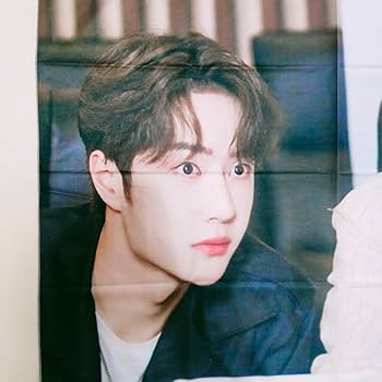 Amazon.co.jp: 陳情令 タペストリー 肖戦 王一博 肖战 シャオジャン