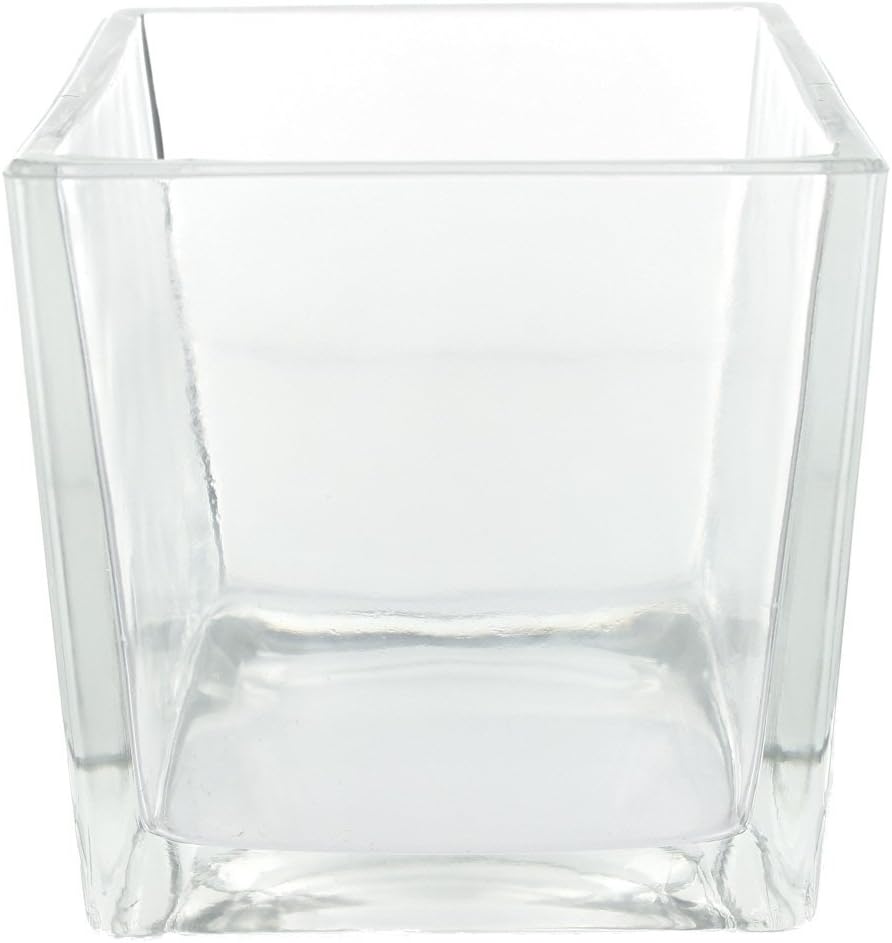Smithers Oasis Glass Cube 12cm by Smithers