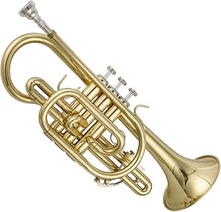 Student Brass Trumpet Professional Trumpet B Flat Student Musical Instrument For Beginners