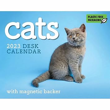 2023 Calendar Amazon 2023 Cats Mini Box Calendar Amazon In