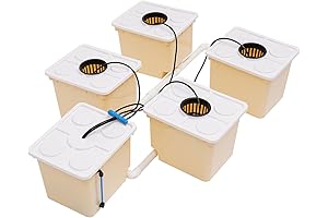 5 Bucket System for Hydroponics