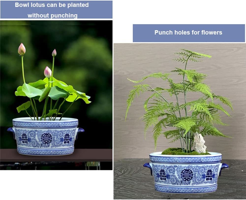 中国 見込み花図　花形洗筆（鉢）　u6230931 Amazon.com : LNPTAL Blue and White Ceramic Planter, 12.6
