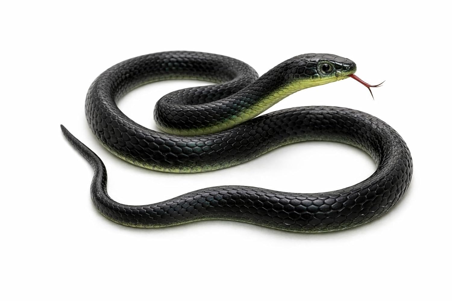 Realistic Rubber Snakes Prank Toys, Halloween Party Decoration and Prank Toys & Gifts, Magic Shows Toy Snake for Kids | Practical Joke Fake Snake for Kids (Pack of 1)-image-27