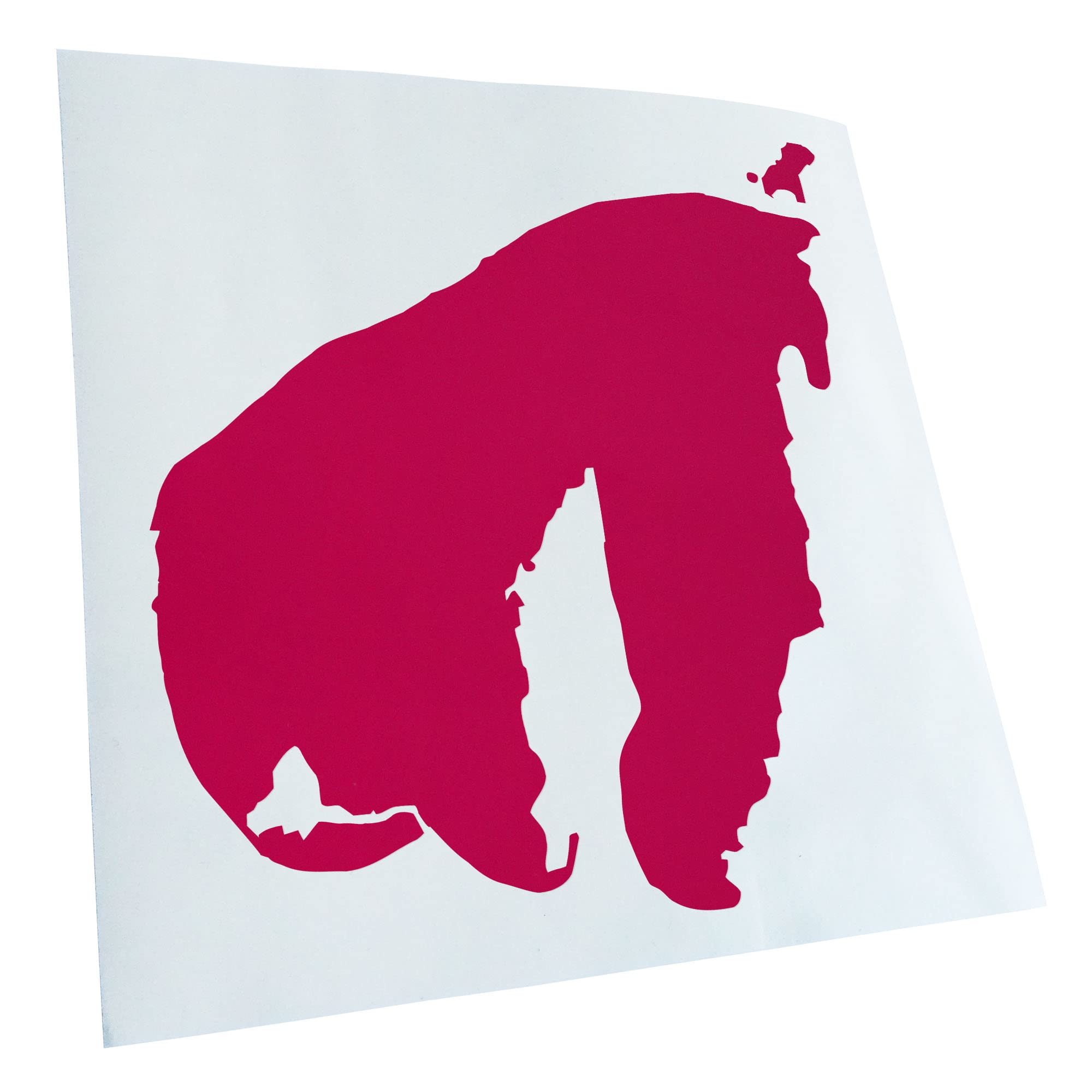 Kiwistar - Car Sticker - Pink - 60 x 60 cm Poel - Germany - Island - Rear Window Car Sticker Weatherproof for Car Truck Moped Truck - Sticker Exterior Self-Adhesive Tuning Accessories for Window