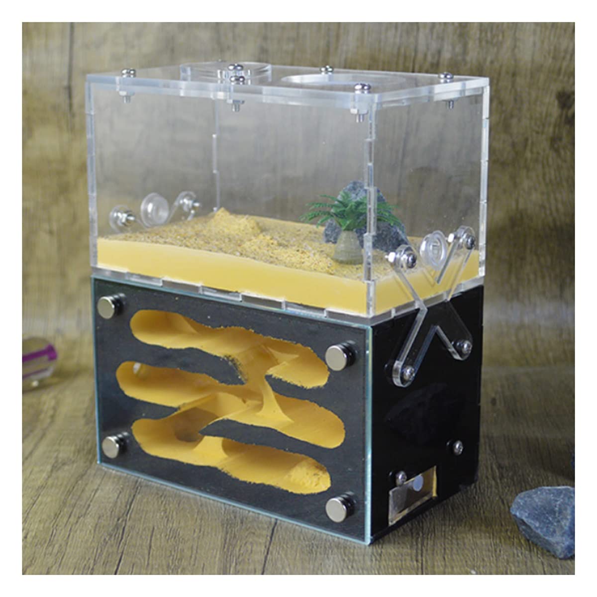 Amazon.co.jp: アリの巣 アクリル製 アリの巣 蟻 飼育ケース
