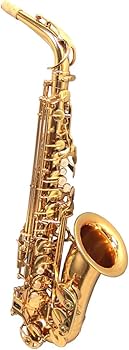 Amazon | DeYu A500 アルトサックス 初心者セット (デユー) | サックス