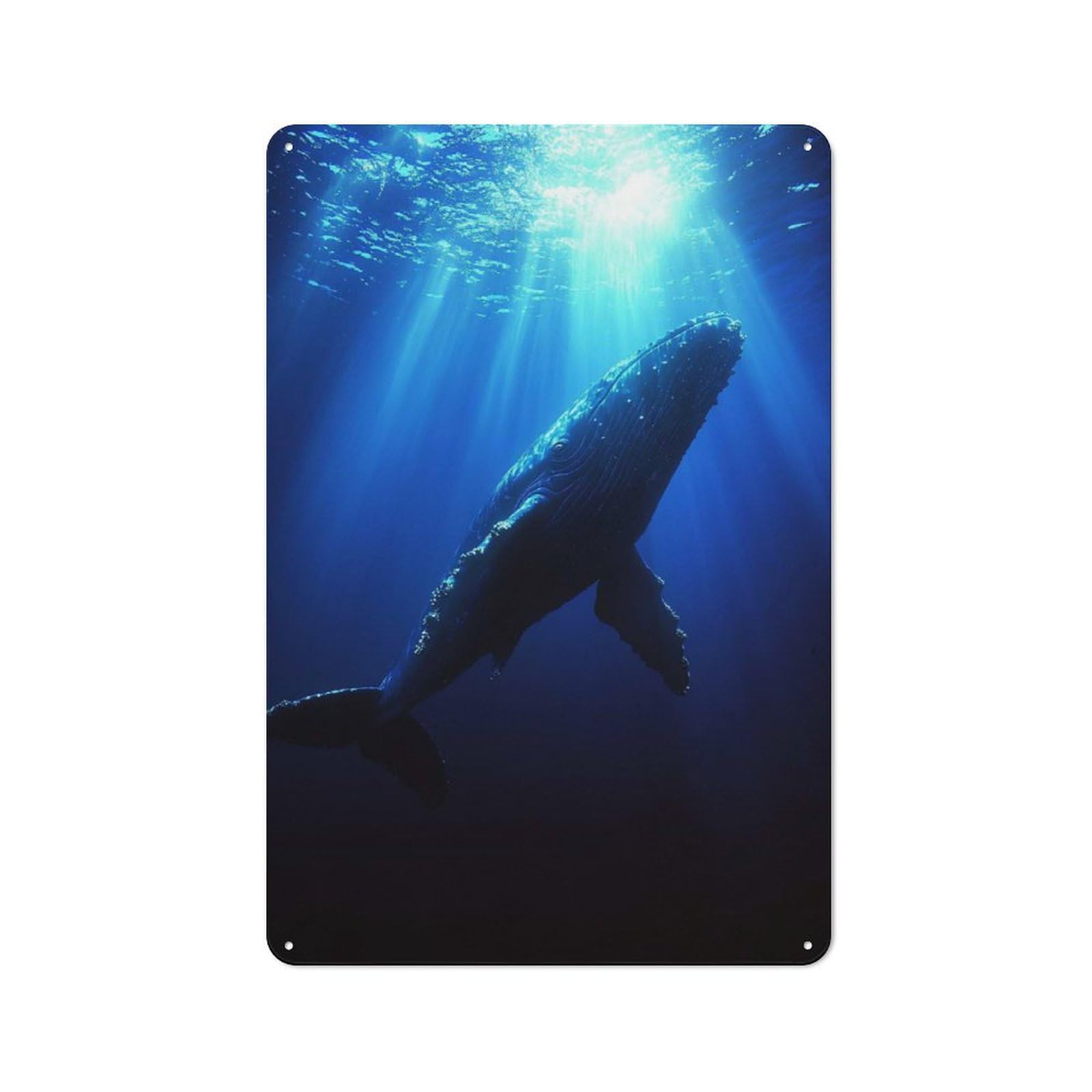 Junmoney Style-20 Humpback Whale Swimming In Blue Ocean Rustic Tin Wall Plaque 30X20cm For Hobby Room Or Studio, A New Home Present For Creative Interior Collectors