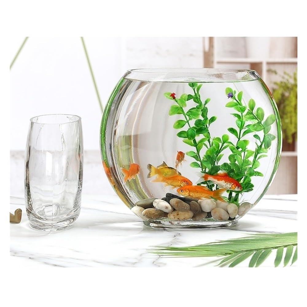 Aquarium Kreatives ovales Glas-Aquarium for kleine Goldfische, transparent, als Dekoration for Zuhause oder Schreibtisch.(13.5cm)