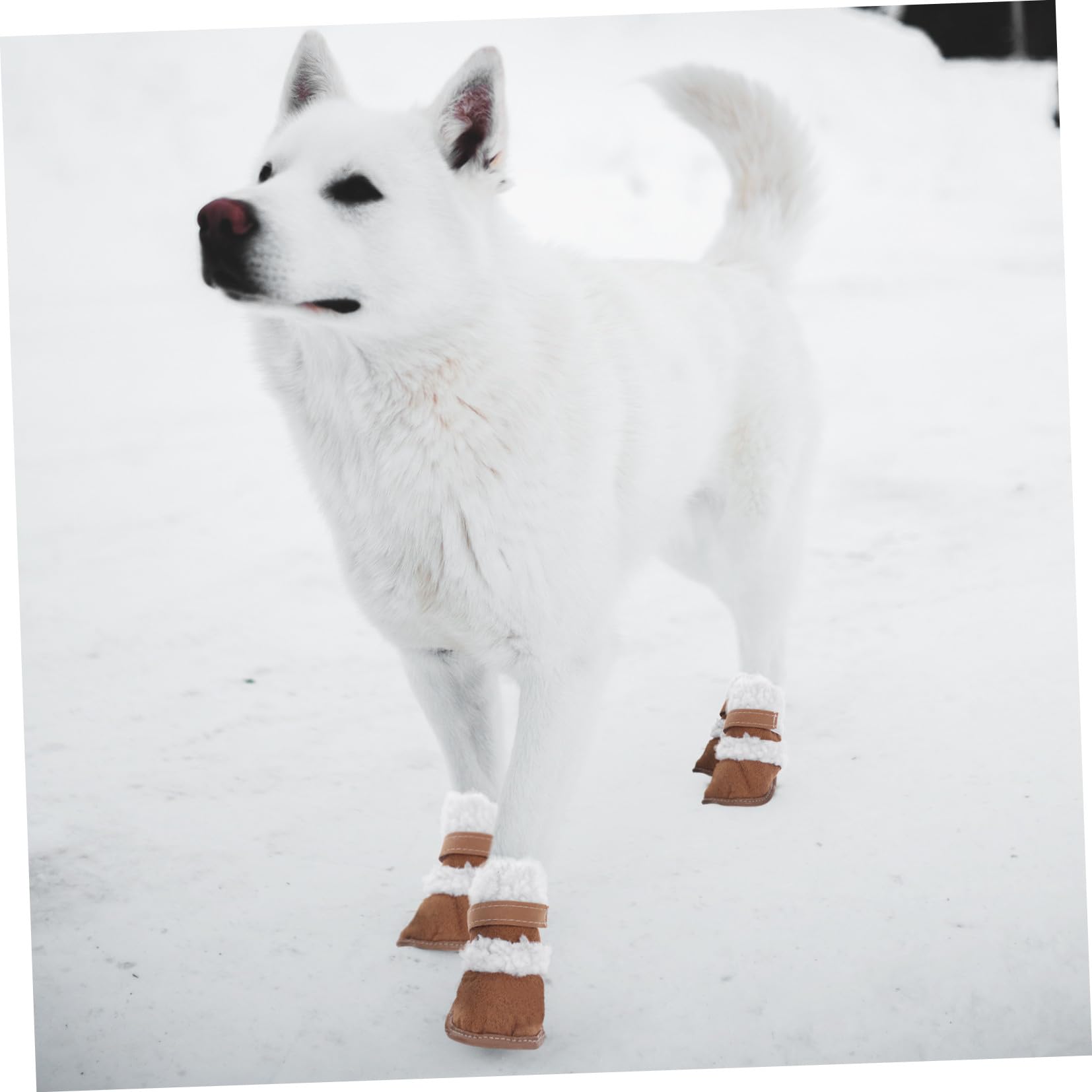 Housoutil 6paia Scarpe Antiscivolo per Cani Stivali Impermeabili e Caldi per Cuccioli per Inverno e attività all Aperto