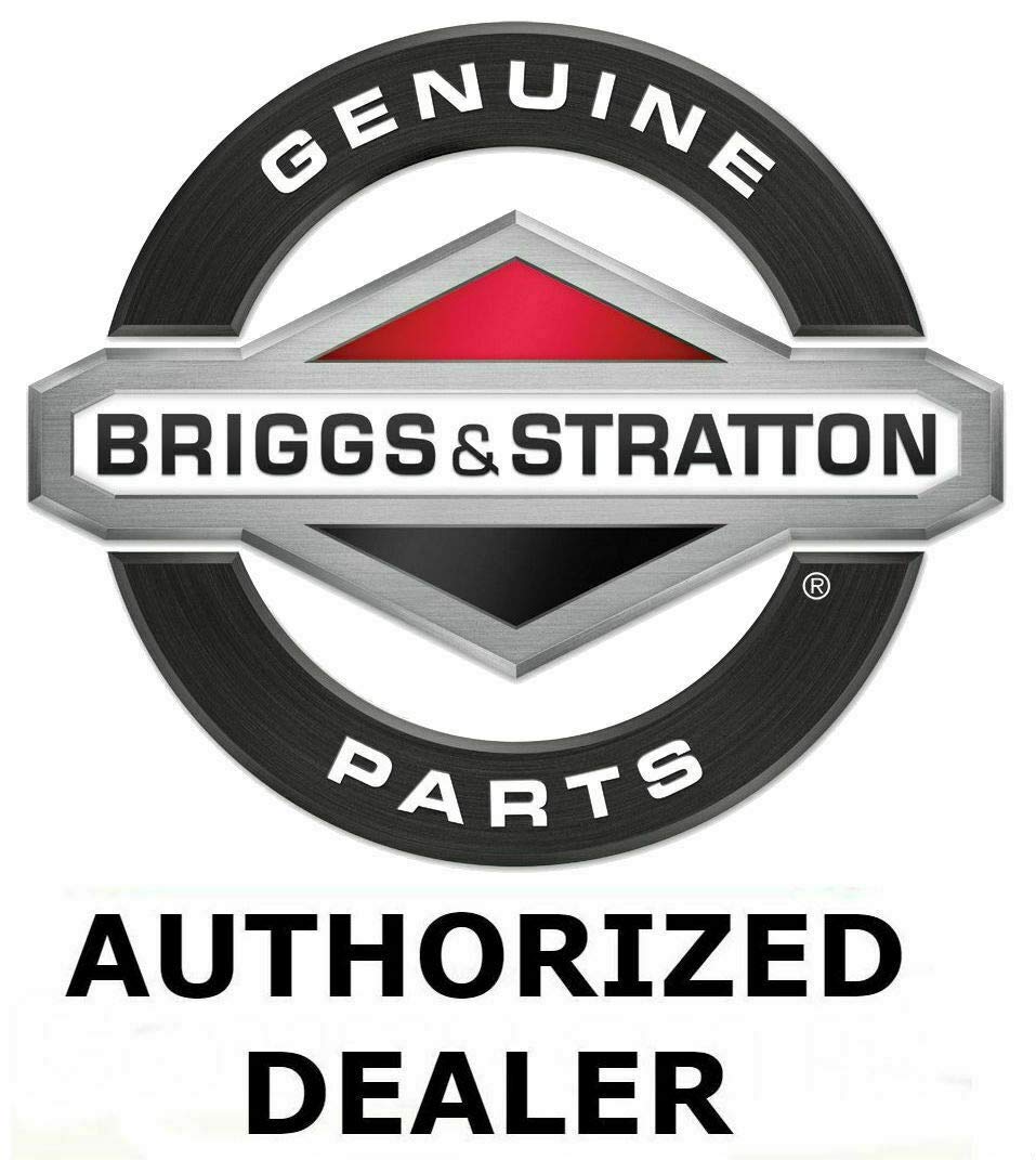 6 filtros de aceite originales Briggs & Stratton 842921 492932S 695396 Vanguard