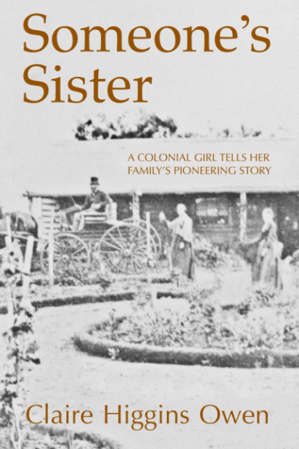 Someone’s Sister: A Colonial girl tells her family’s pioneering story (Higgins History)