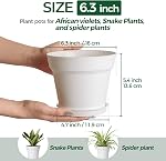 T4U 6.3 Inch Plant Pots 8 Pack, Planters with Drainage and Saucers for Gardening Enthusiasts, Indoor Outdoor Patio Decor for Snake Plants, Herbs, Aloe and Ivy(White) | Peace lily spider ivy, Kitchen windowsill shelf, Houseplant herbs basil, Durable l