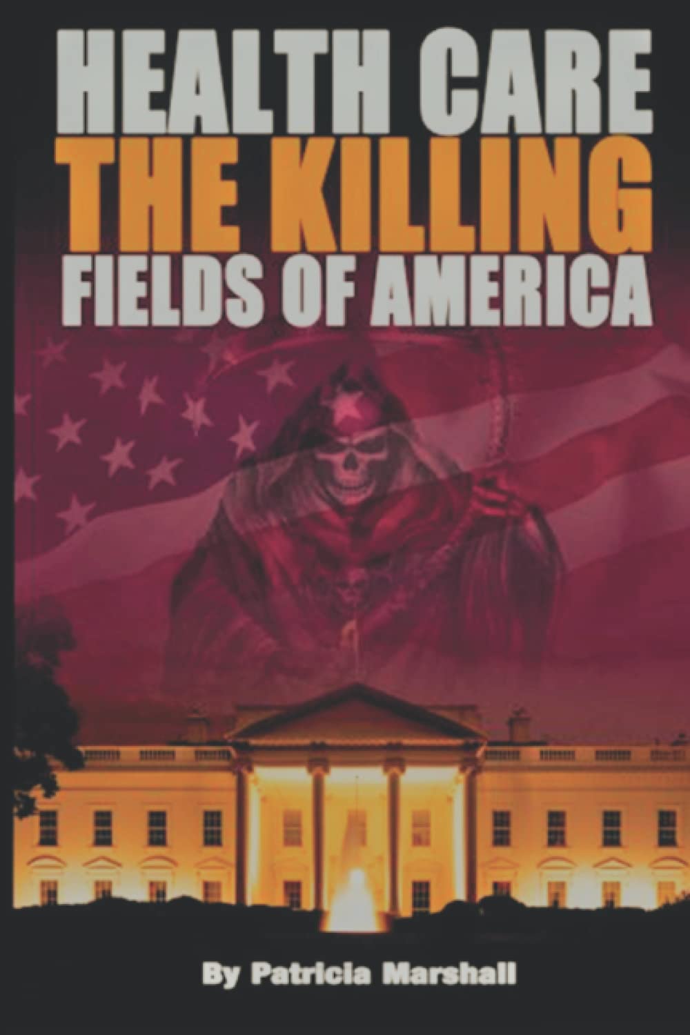 Healthcare the Killing fields of America: Third Edition
