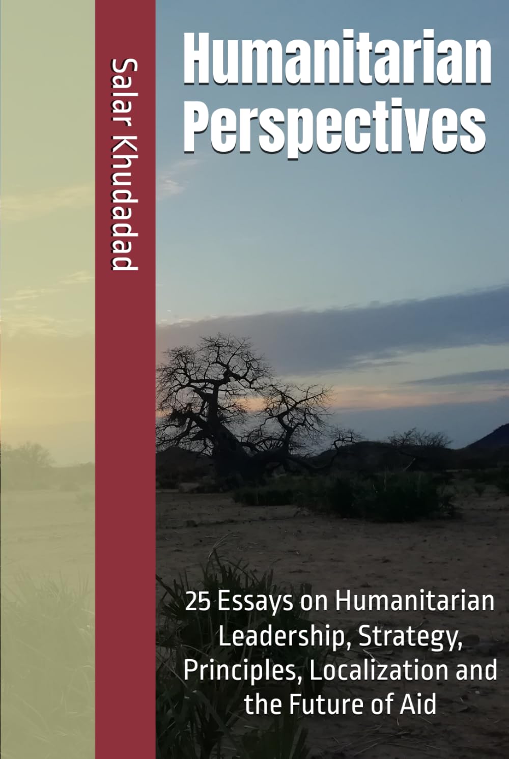 Humanitarian Perspectives: 25 Essays on Humanitarian Leadership, Strategy, Principles, Localization and the Future of Aid