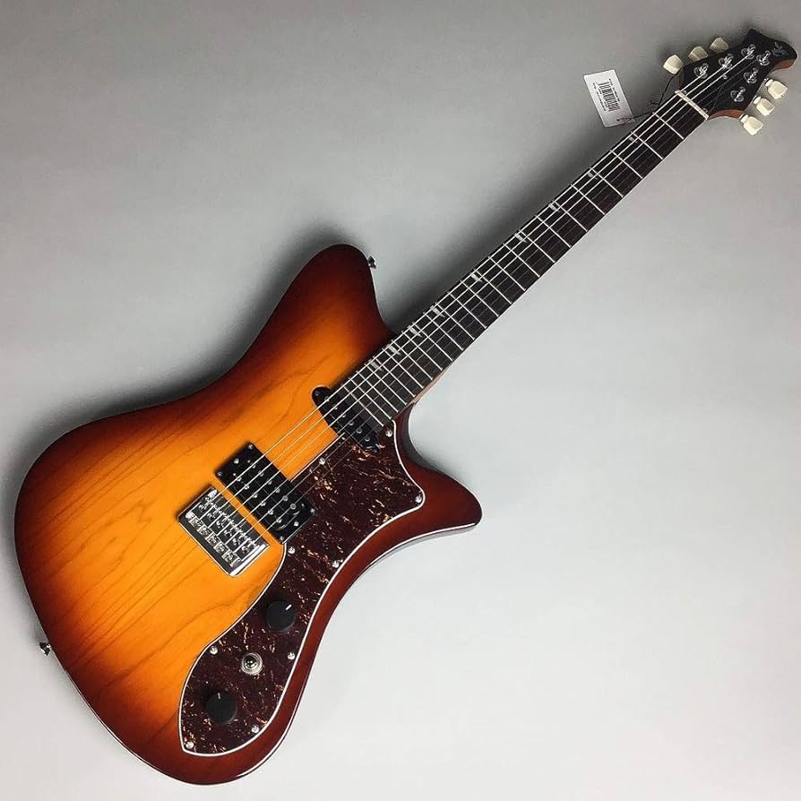 Amazon | RYOGA SKATER/LEC GBS エレキギター 24フレット