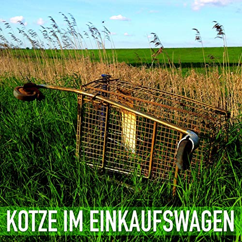 Kotze im Einkaufswagen