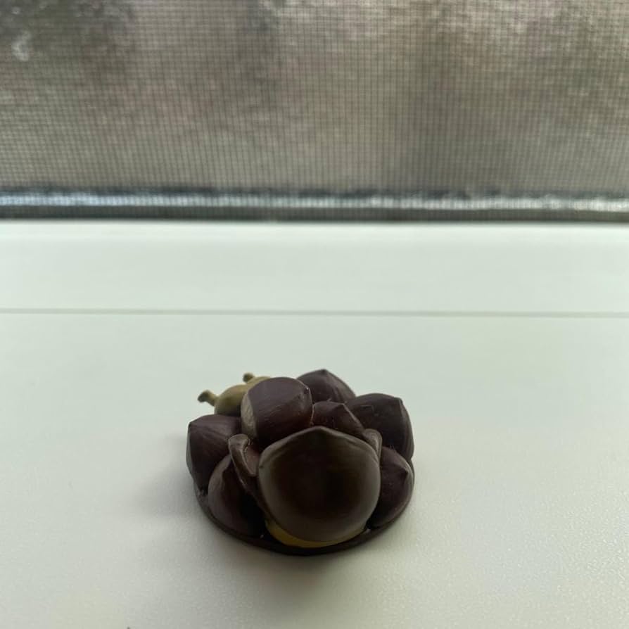 Amazon.co.jp: こびとづかん アマクリソツ 栗いっぱい 自立