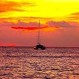 ドクターストップ