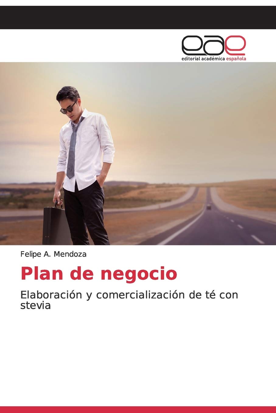 Plan de negocio: Elaboración y comercialización de té con stevia
