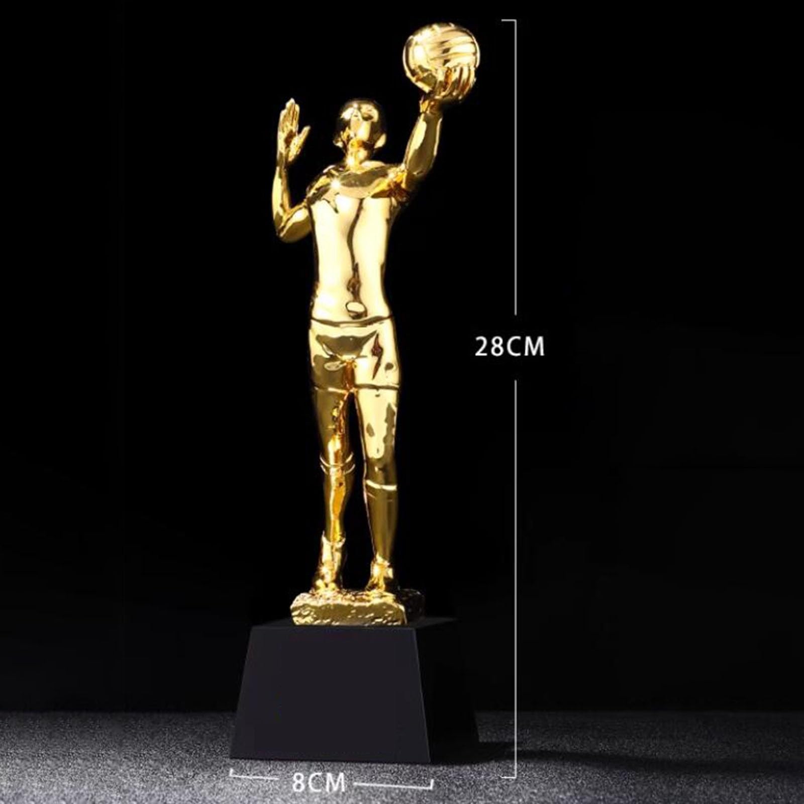 Trofei, medaglie e premi Trofeo del Torneo di Pallavolo Trofeo Premio Competizione di Pallavolo Serie Sportiva Souvenir, Ornamenti, Regali E Trofei del Concorso Trofeo Inciso