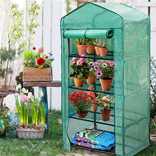 Altdorff 4-Tier Greenhouse, Portable Plant Flower Shelf With Durable Pe Cover, 63*27*19.3 Inches Mini Green House For Plants Outdoor #TOP1