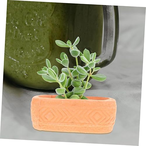 Miniatura 3 de DECHOUS Maceta miniatura Macetas de interior para plantas Macetas de interior Macetas de interior Macetas de interior Maceta de cerámica Maceta de