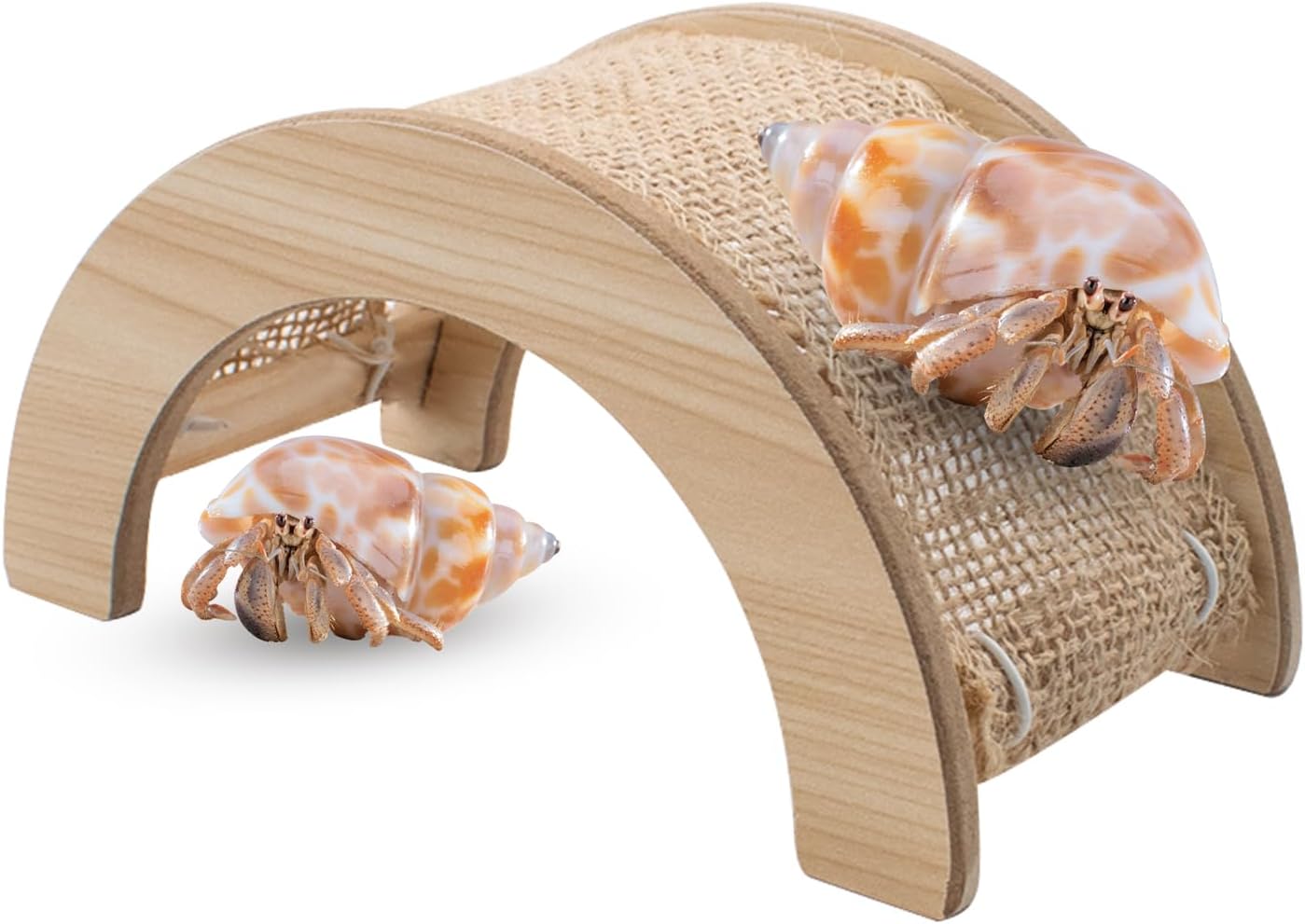 Hermit Crabs Climbing Bridge, Hermit Crab Climbing Toys
