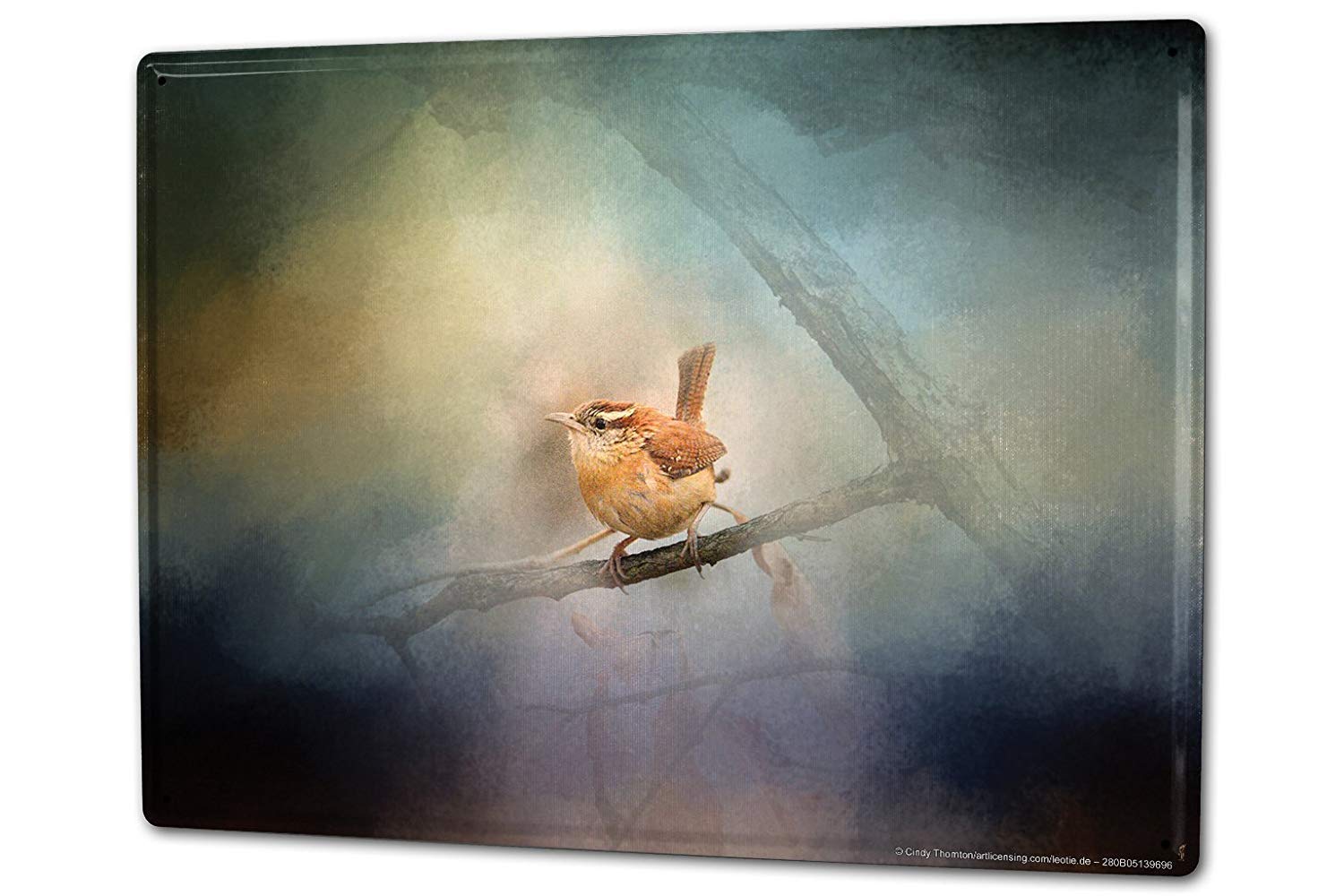 Tin Sign Bird Wren Tin Sign 7.8X11.8 Inch
