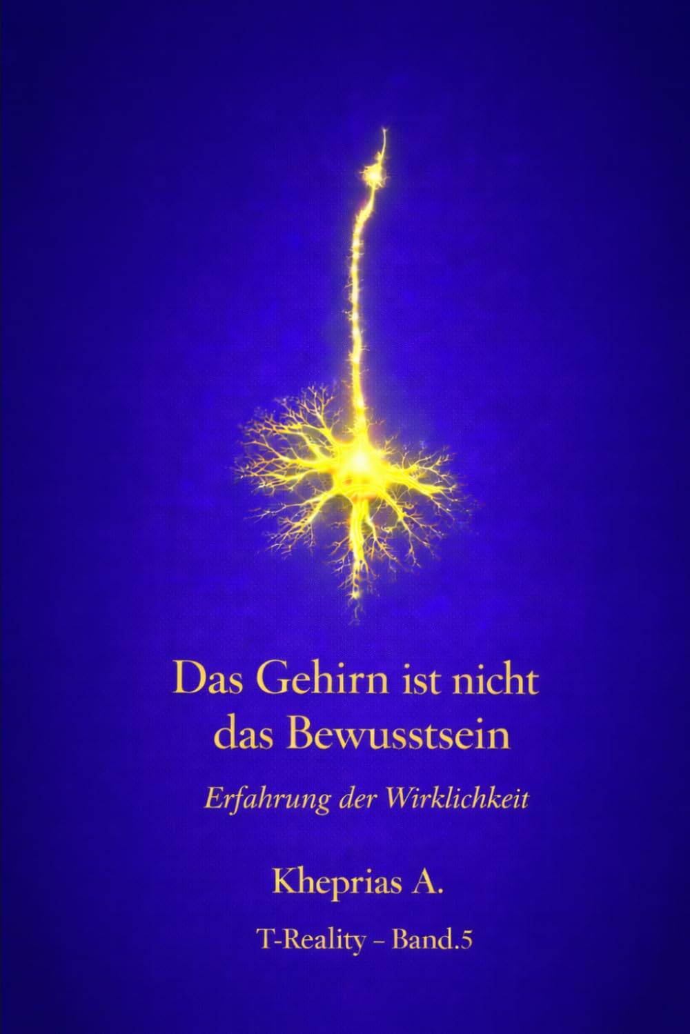 Warum das Gehirn kein Bewusstsein produziert: Wissenschaftliche Erklärung und der ontologische Status der Erfahrung (T-Reality – Philosophie des Geistes und Neurophilosophie)