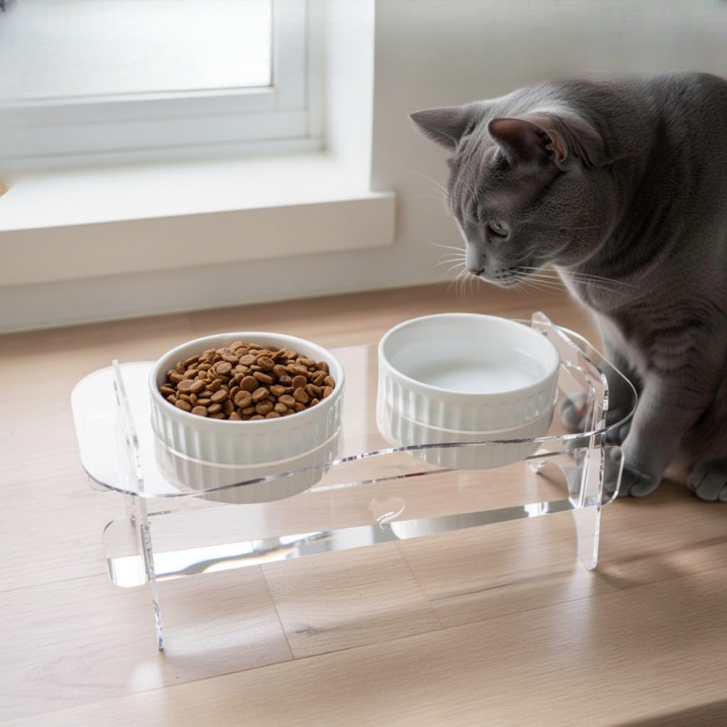 Comedouro Elevado Duplo Pet com Tigelas de Porcelana 320ml ou 190ml Base Madeira ou
