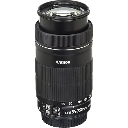 Canon EF-S 55-250mm F4-5.6 is STM