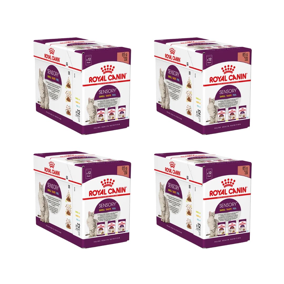 Royal Canin Sensory Multipack | Pack de 4 | 4 x 12 x 85 g | Alimento Completo para Gatos Adultos | Olor, Sabor, Sensación