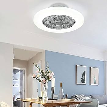 EKDADL Ceiling Fans With Lights And Remote Flush Mount Modern Indoor 19
