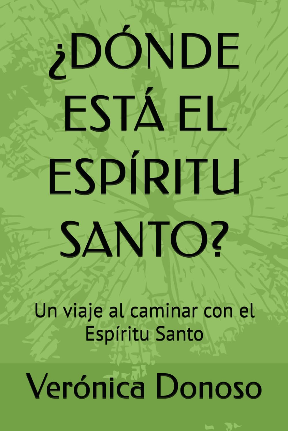 ¿DÓNDE ESTÁ EL ESPÍRITU SANTO?: Un viaje al caminar con el Espíritu Santo