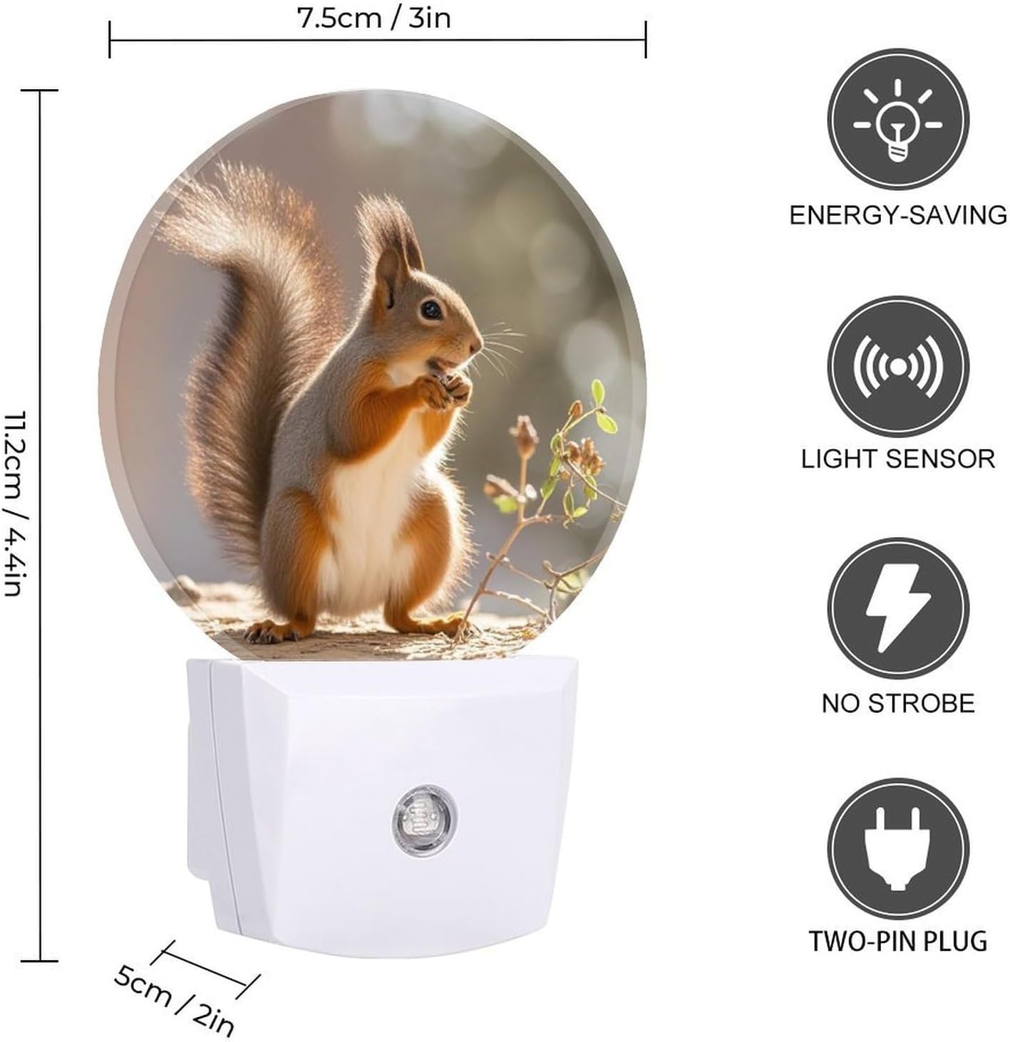 Squirrel Funny Animal LED Night Light for Hallway, Plug Into Wall image 2