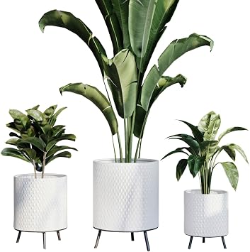 EverNest Claire Honeycomb Neutral Modern White Planter with Nyra Stand, Indoor Plant Pots, SelectBase, Mid-Century Modern, Boho Style Home Decor for Plants Set of 3, Black