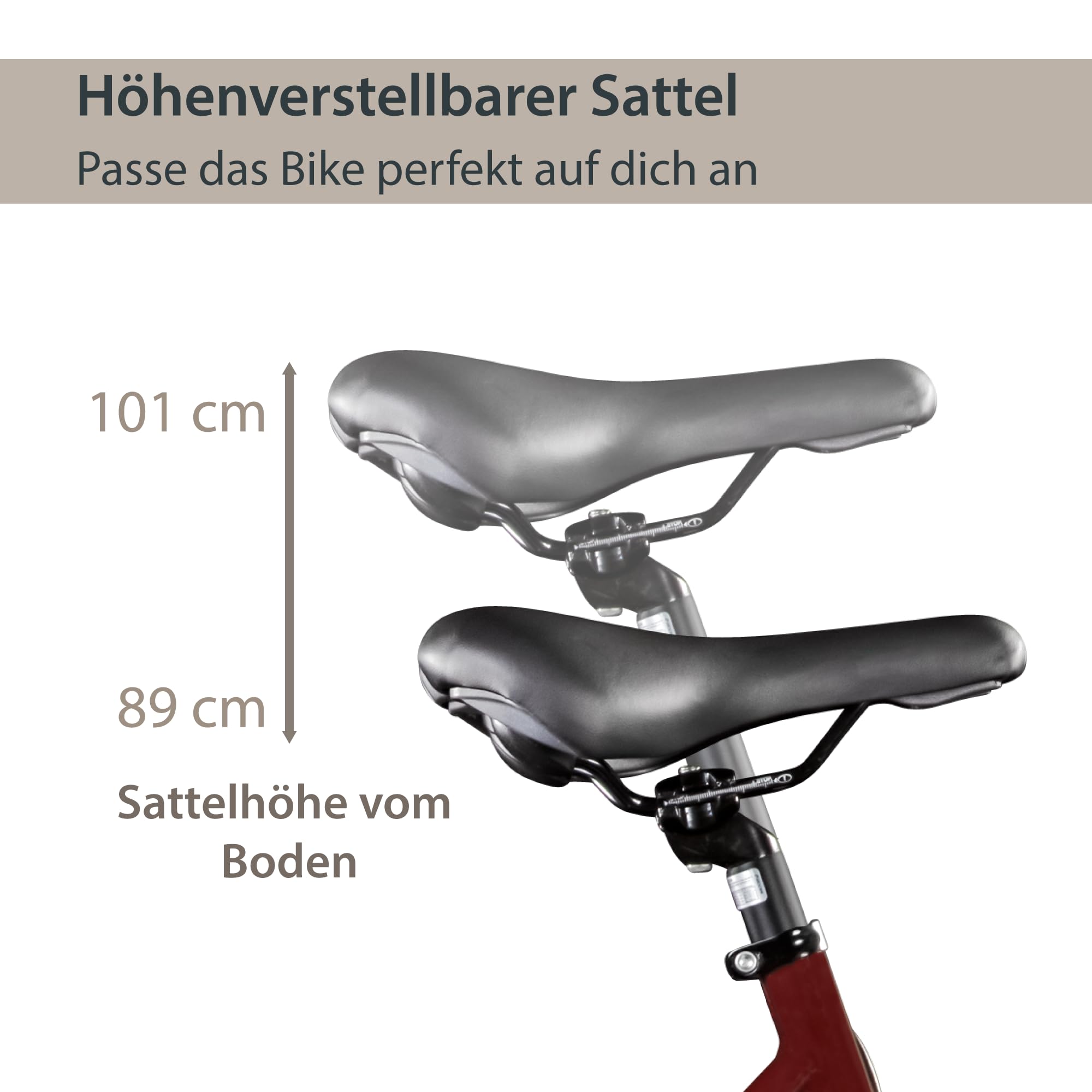 AGON Avesa E-Bike Trekkingrad Pedelec Damen Nabenmotor 21 Gang