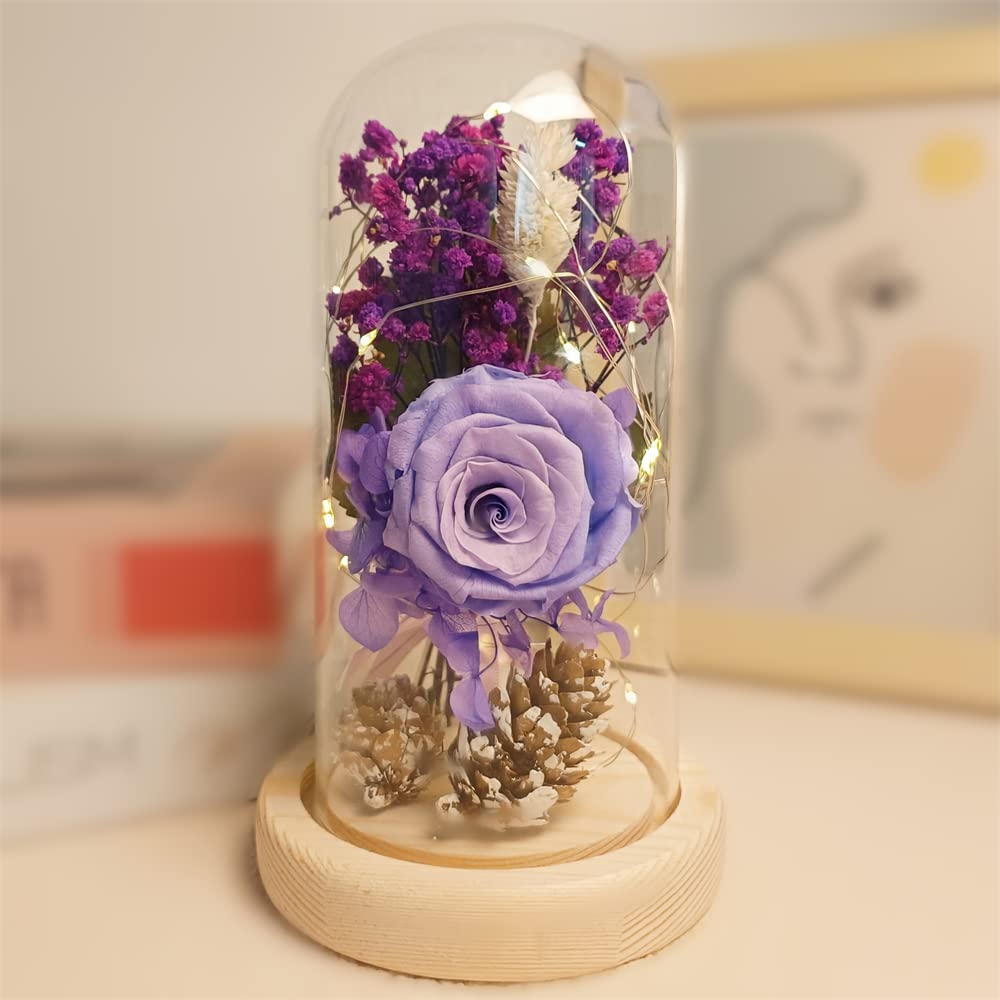 Uniqicon Women's Dfpur-Purple Eternal Rose Enchanted Sparkly Flower Artifical, Beauty And The Beast Infinity Galaxy Preserved Roses Lamp, Forever Glass Dome Gifts For Anniversary Mothers Girlfriend Wife Her Birthday