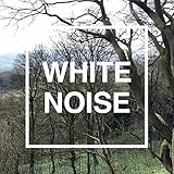White Noise Collectors