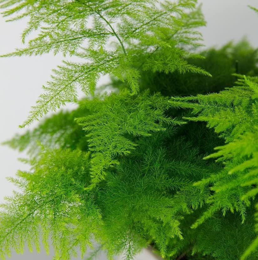 View 3